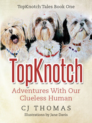 cover image of TopKnotch